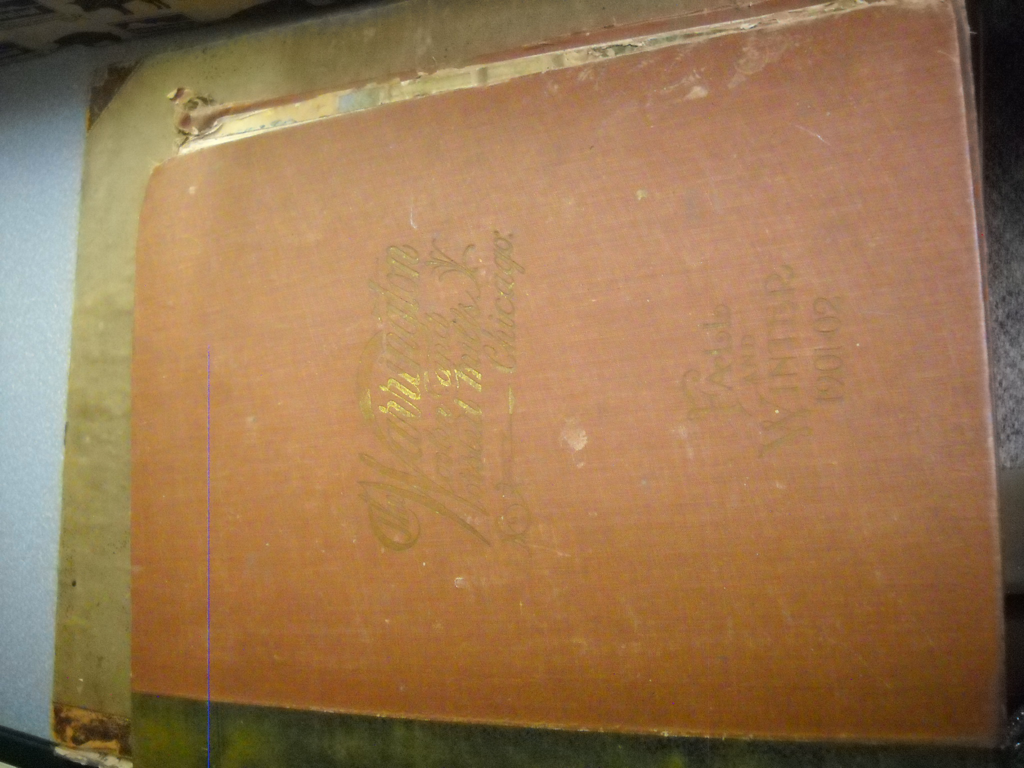 olmsted Real Estate and Auctions